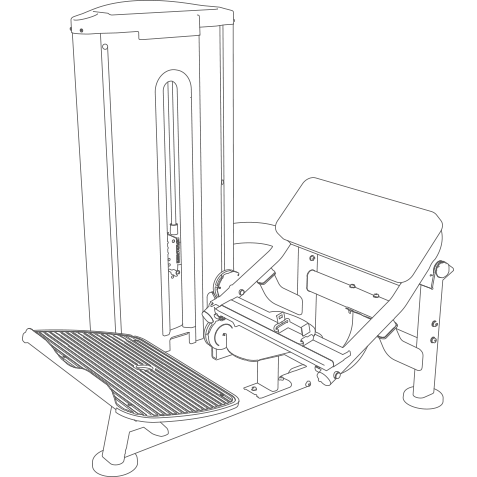 Hip Thrust Maschine - BH Fitness