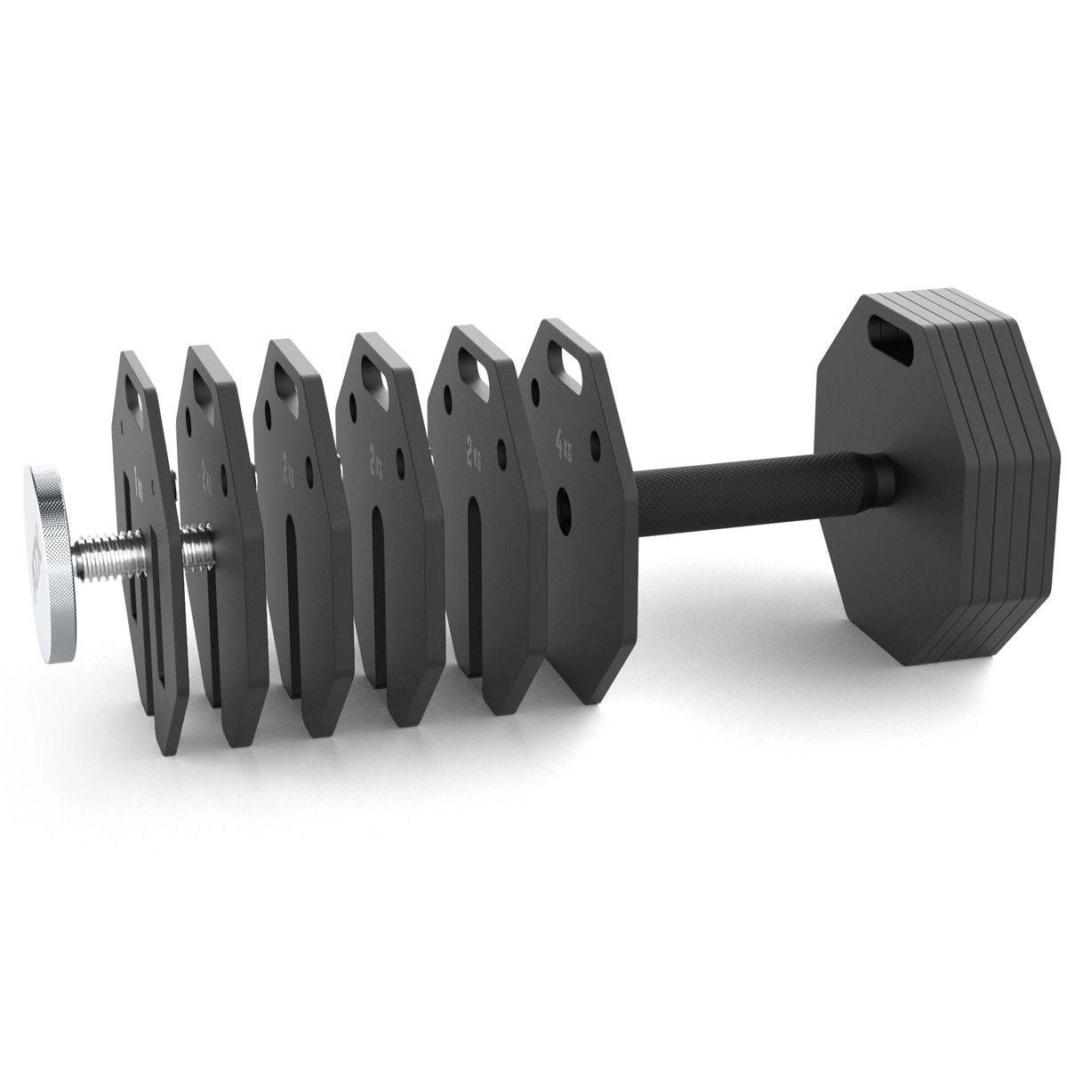 ATX® Octa Gewichtsplatten 2 x 2 kg Bauteile